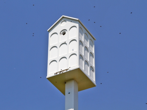 beehive, honey bee, public sculpture, bee hive, honeybee, public beehive, pollination, deep ecology